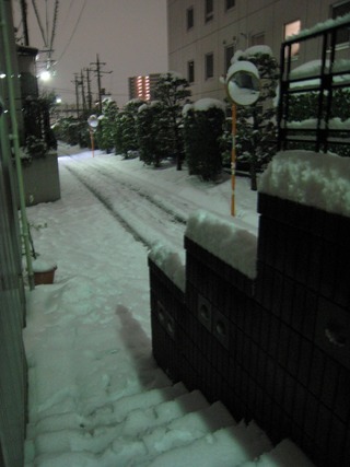 0215大雪再来朝3