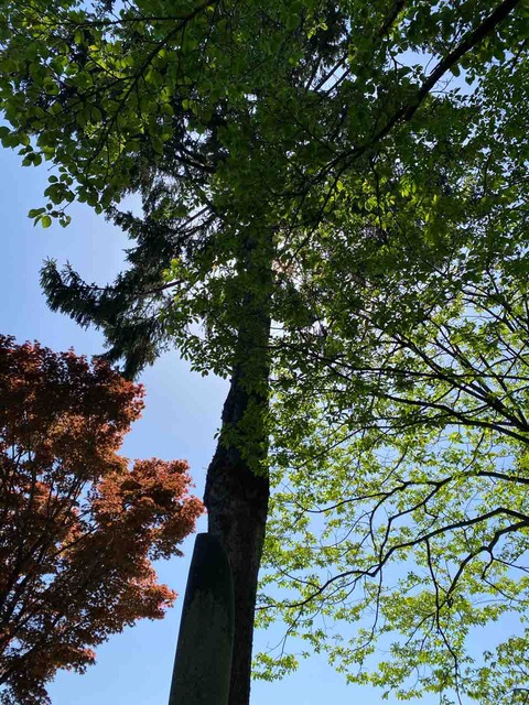 54191E00-04BB-404D-8B78-444E15F19CEF