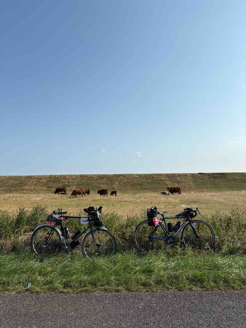 1F8B3EDD-6952-44A8-AAE5-0BF1B791B0E4