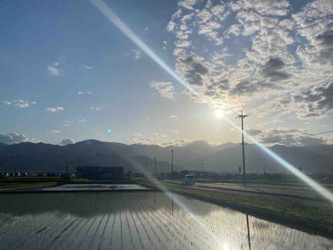 305232E6-1F5D-4D28-A570-6FE52C2C328F