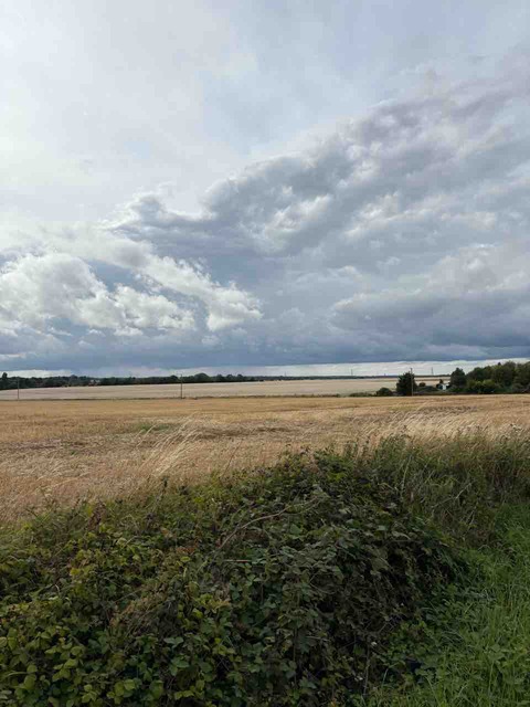 D93C3D28-B879-4188-A4AA-EF5824E133E1