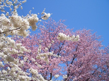 b1f383ea.jpg