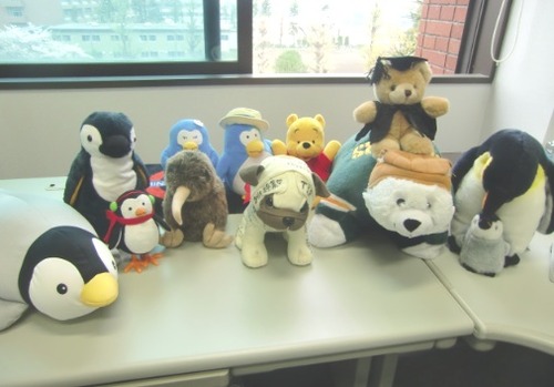 ぬいぐるみたち