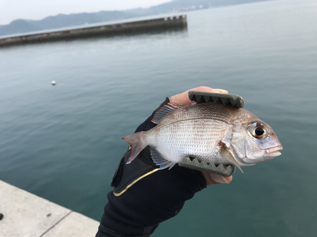 鱗海sp 00 530 ぐっさべ じのフカセ釣り 鱗海sp 00 530 ぐっさべ じのフカセ釣り