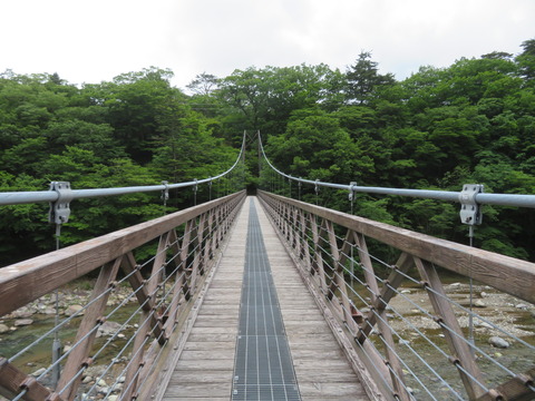 IMG_6907