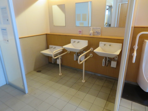 IMG_8305