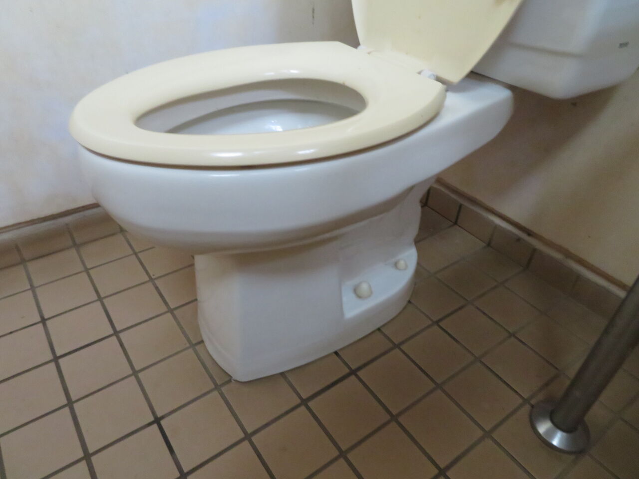 珍品 市民の森 見沼グリーンセンター りすの家付近トイレ 御手洗倶楽部 珍品 市民の森 見沼グリーンセンター りすの家付近トイレ 御手洗倶楽部