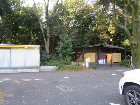 IMG_0334
