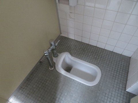 IMG_4895