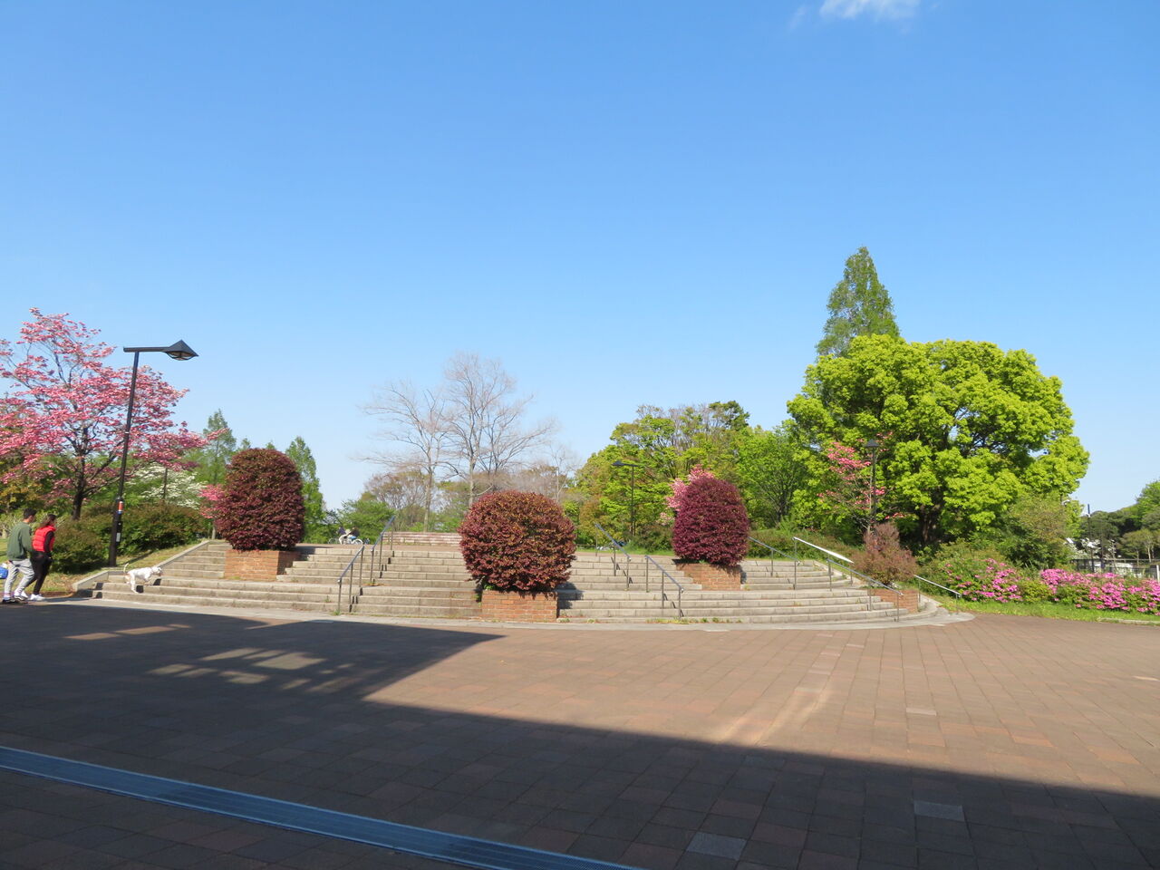 公園 舎人