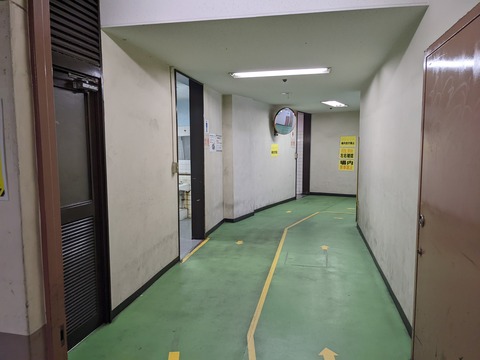 PXL_20221016_123705048