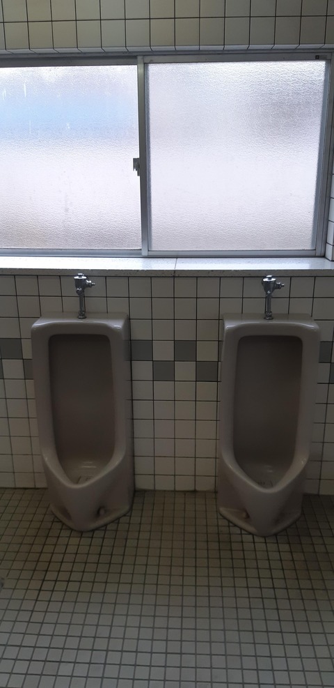 天竜峡活性化センター小便器①