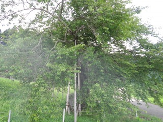 IMGP0042