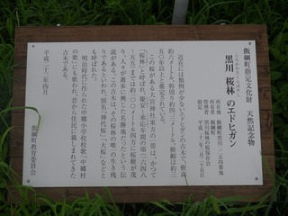 IMGP0041
