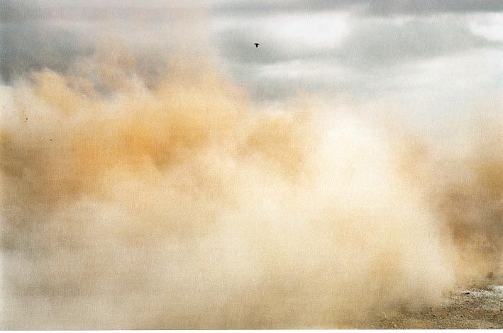 NAOYA HATAKEYAMA 畠山直哉 「NATURAL STORIES ナチュラル