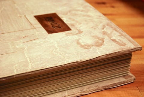dual2_cover_01