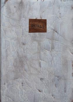 dual1_cover