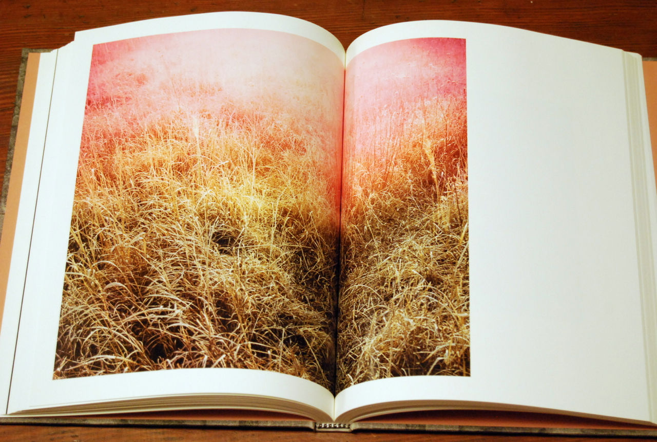 Christian Patterson. Redheaded Peckerwood. (London: MACK, 2011