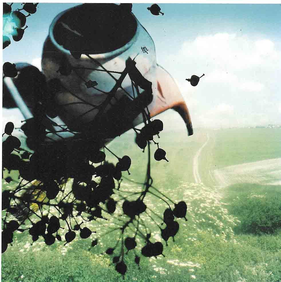 STEPHEN GILL スティーブン・ギル : 写真の鉛筆 THE PENCIL OF