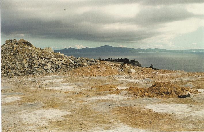 NAOYA HATAKEYAMA 畠山直哉 「NATURAL STORIES ナチュラル