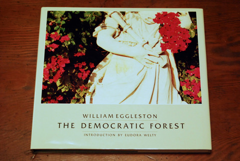 William Eggleston. Democratic Forest. (New York: Doubleday, 1989).