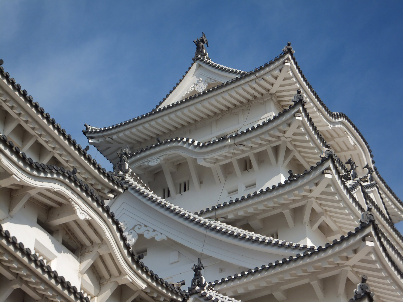 真っ白な姫路城へ 目指せ毎日一万歩
