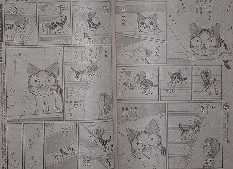 猫は目線の高さが Tamaの広く浅く所々深い趣味の世界 猫は目線の高さが Tamaの広く浅く所々深い趣味の世界