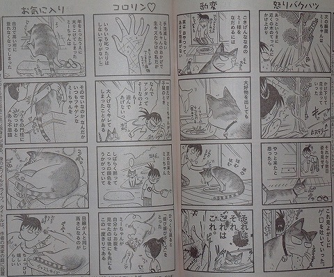 猫は目線の高さが Tamaの広く浅く所々深い趣味の世界 猫は目線の高さが Tamaの広く浅く所々深い趣味の世界