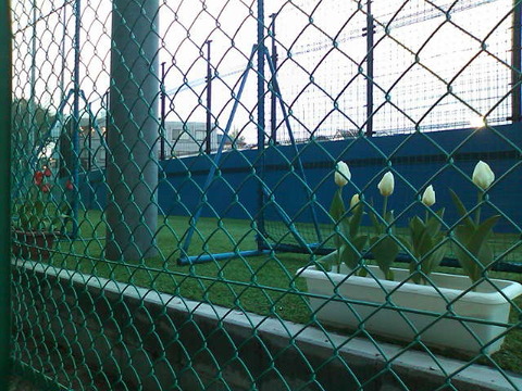 f0b3d082.jpg