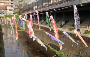 koinobori