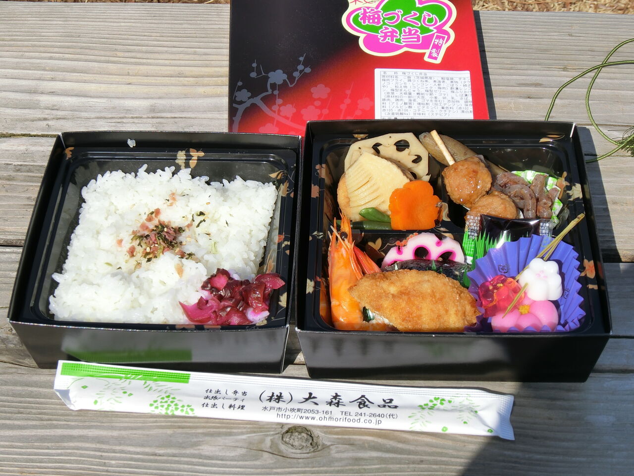 偕楽園 水戸の梅まつり たまちゃんライフ