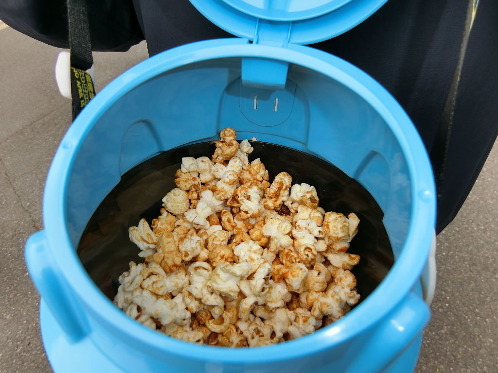 東京ディズニーシー お食事編 たまちゃんライフ 東京ディズニーシー お食事編 たまちゃんライフ
