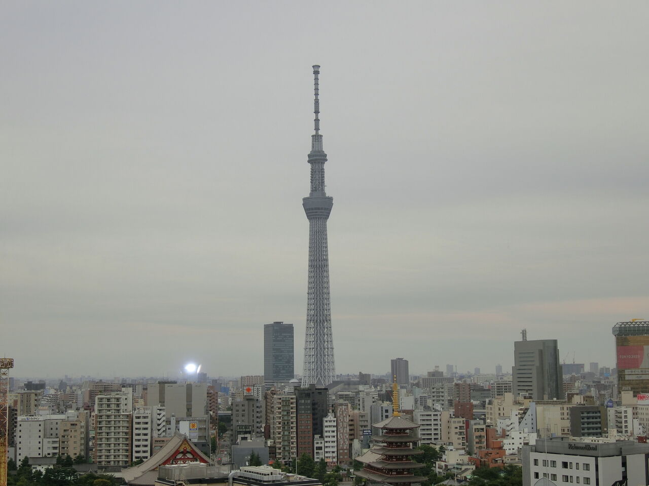 浅草ビューホテル 東京都台東区西浅草 たまちゃんライフ 浅草ビューホテル 東京都台東区西浅草 たまちゃんライフ