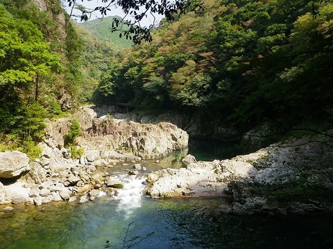 1024px-Chomonkyo
