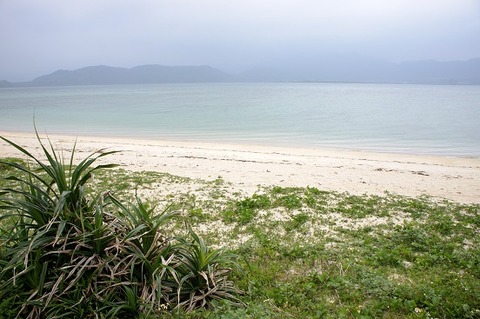 Kubasaki_Kohamajima_Okinawa_Japan01bs3s4592