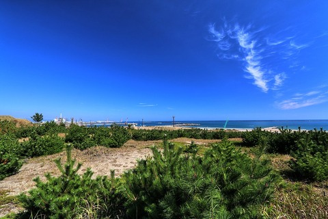 1024px-ひたち海浜公園_-_panoramio_(162)
