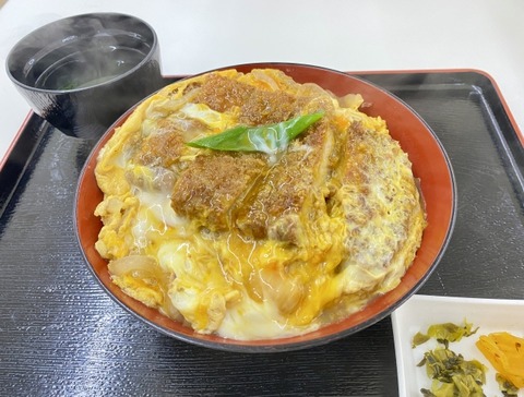 「丼もの」で最高ランクって : 旅行行こうず！ー国内旅行まとめブログー