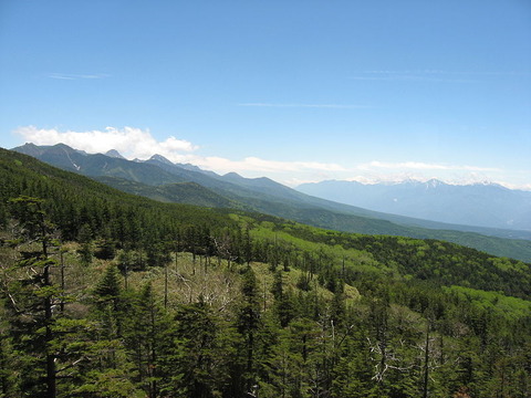 800px-Tateshina_kogen