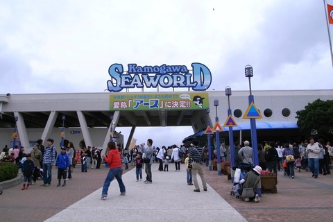 Kamogawa_sea_world