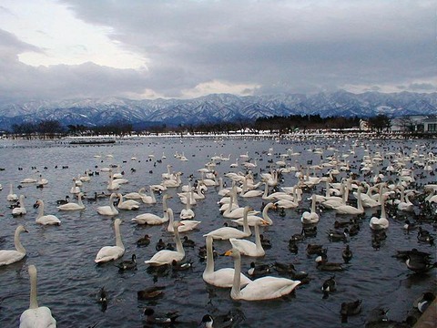 Lake_Hyouko