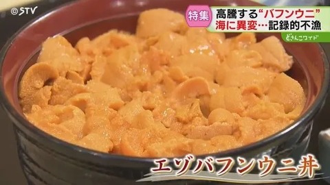 20250810-03372663-stv-001-3-view