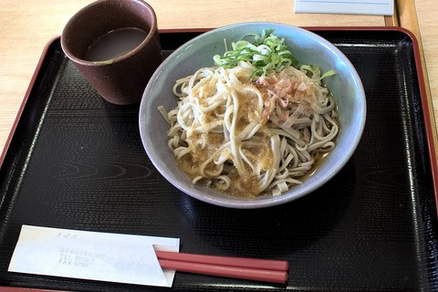 Echozen_Oroshi_Soba