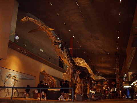 Museums_in_Kitakyushu4