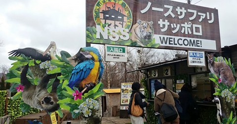 1982838_CTxWTI4UcAAjiEF-600x315