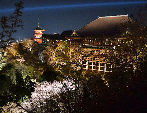 そうだ 京都 行こう 清水寺でライトアップ試験点灯 1000本の桜を照らし出す 27日から夜間特別拝観 旅行行こうず ー国内旅行まとめブログー そうだ 京都 行こう 清水寺でライトアップ試験点灯 1000本の桜を照らし出す 27日から夜間特別拝観 旅行行こうず ー国内旅行まとめブログー