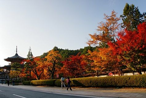 Autumn_Koyasan_Wakayama01s5s3200