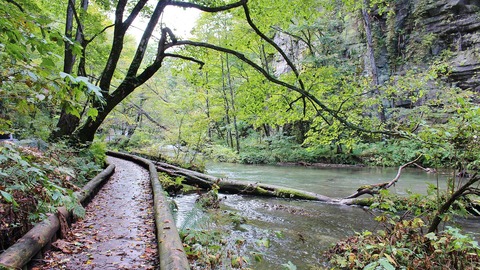 奥入瀬渓流_-_panoramio