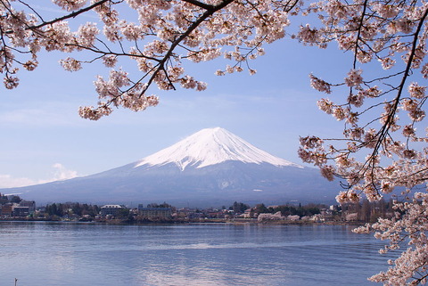 1024px-Lake_Kawaguchiko_Sakura_Mount_Fuji_3