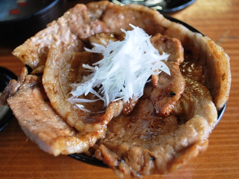 Buta-don_at_Nakasatsunai