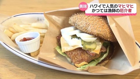 20240912-05281545-fbc-001-3-view